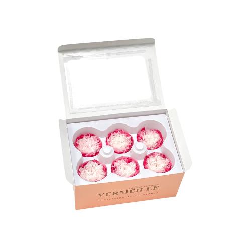 In eterno karafiát blanc framboise