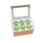 in-eterno-karafiat-lime-green.jpg
