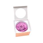 in-eterno-ruza-magma-lilac.jpg