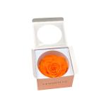 in-eterno-ruza-magma-orange.jpg