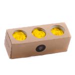 in-eterno-ruza-monalisa-canary-yellow.jpg