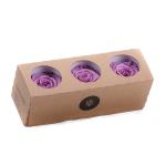 in-eterno-ruza-monalisa-lilac.jpg