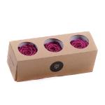 in-eterno-ruza-monalisa-rose-wine.jpg