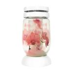 kahan-sklo-3s-s-orchideou-silver.jpg