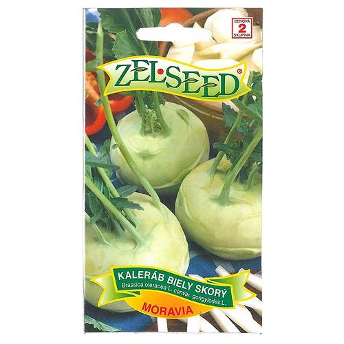 Kaleráb biely skorý MORAVIA - Zelseed