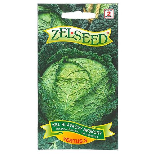 Kel hlávkový neskorý VERTUS 3 - Zelseed