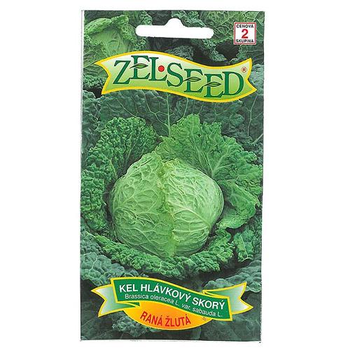 Kel hlávkový RANNÝ ŽLTÝ - Zelseed