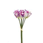 kytica-tulipan-zvazok-x6-1.jpg
