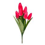 kytica-um-tulipan-x9-1.jpg