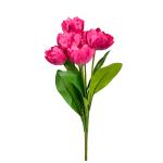 kytica-um-tulipan-x9.jpg