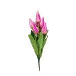 kytica-um-tulipan-x9-2.jpg