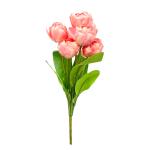 kytica-um-tulipan-x9-3.jpg