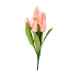 kytica-um-tulipan-x9-4.jpg
