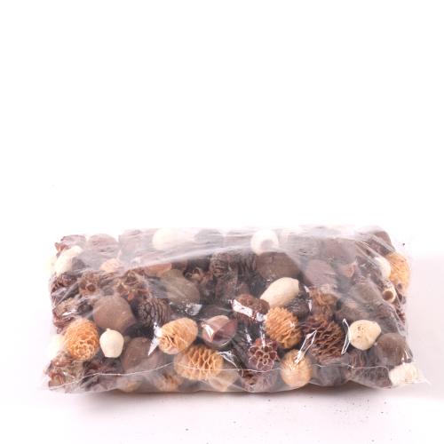 Leucodendron assortment bleached loose