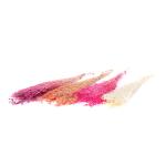 limonium-trvacna-100g.jpg