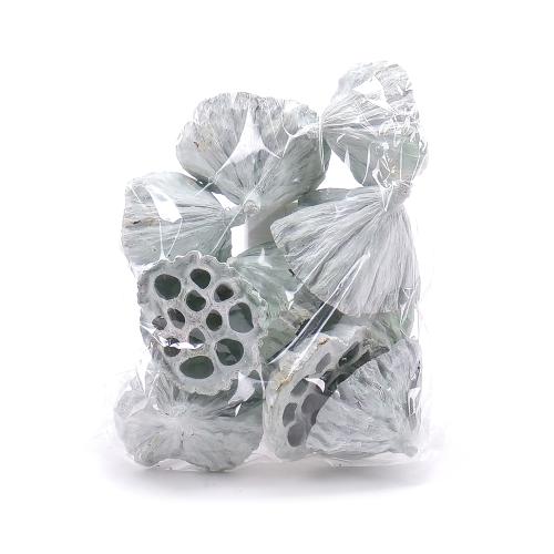 LOTOS 6-8cm zelena matná bal--lotos s dierkami