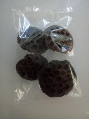 LOTOS EXTRA IN veľký-lotos s dierkami/bal