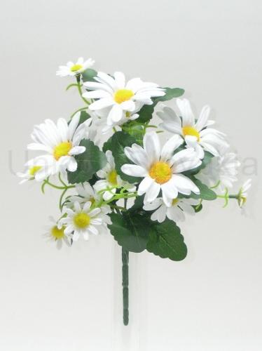 Margaretka rez 5ks/balenie