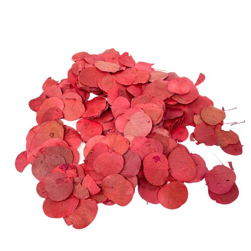 Moneta leaf listy mix bal