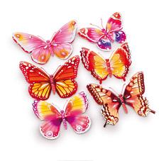 Motyl dekoracny stipec