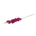 orchidea-plast.jpg
