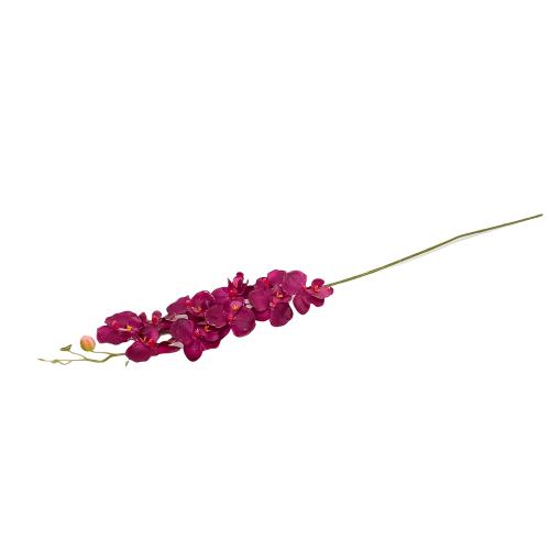 Orchidea plast