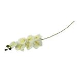 orchidea-um-stopkova-90cm-1.jpg