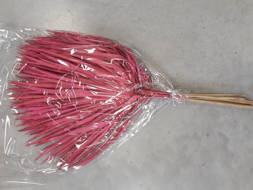 Palmové listy balenie