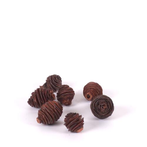 Platyspermum med loose