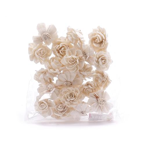 Plody india sola folded dalya