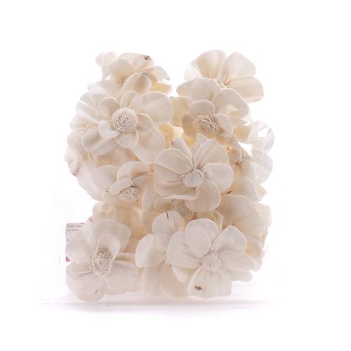 Plody india sola kvet otvorený