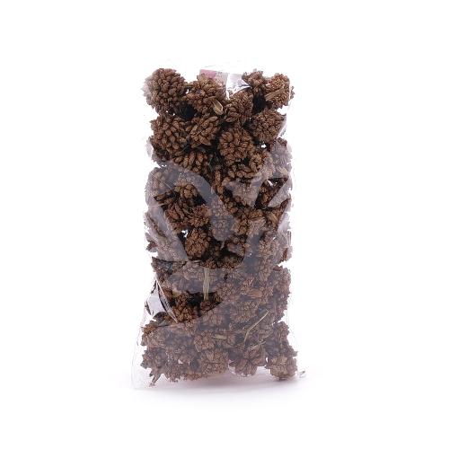 Plody INDIA Star flower drobné šišky hnedé