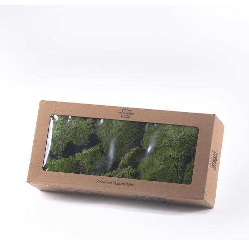 POLEMOSS mach vert w-box sv.zelený