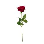 ruza-um-stopkova-puk-50-cm-1.jpg