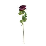 ruza-um-stopkova-puk-50-cm-2.jpg