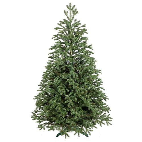 Strom PVC/PE Smrek Palermo 1,8 m