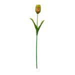 tulipan-plast-1.jpg