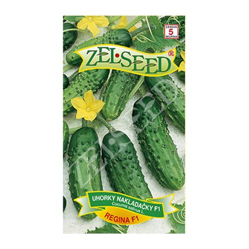 Uhorky nakladačky REGINA F1 - Zelseed