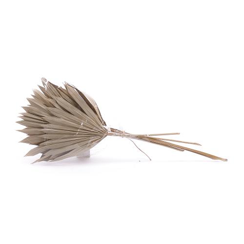 Vejarik IN  PALM SPEARL