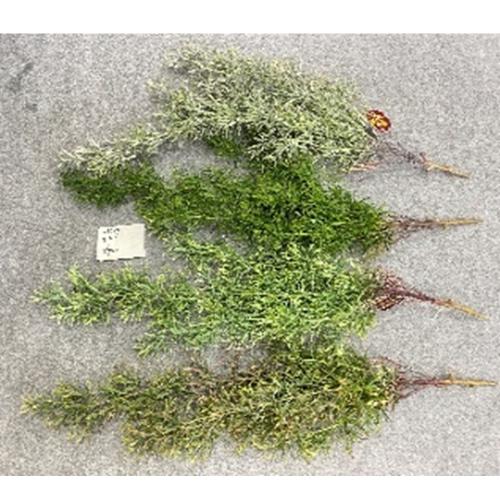 Ťahač riasy x5 umelý 106 cm