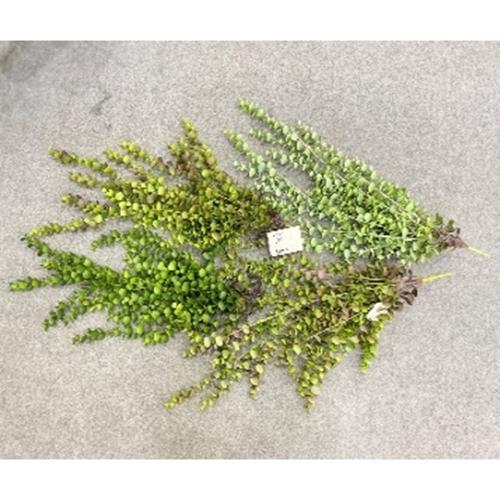 Ťahač tmavo zelený eukalyptus x6 umelý 94 cm